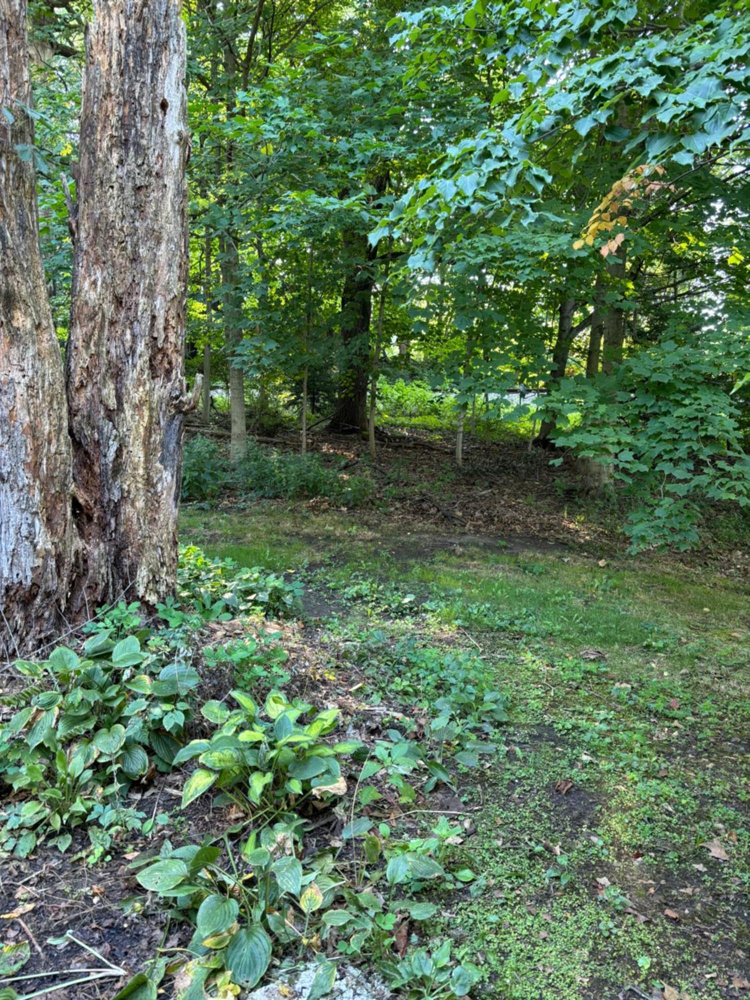 Farmhouse Cabin Ashland Εξωτερικό φωτογραφία